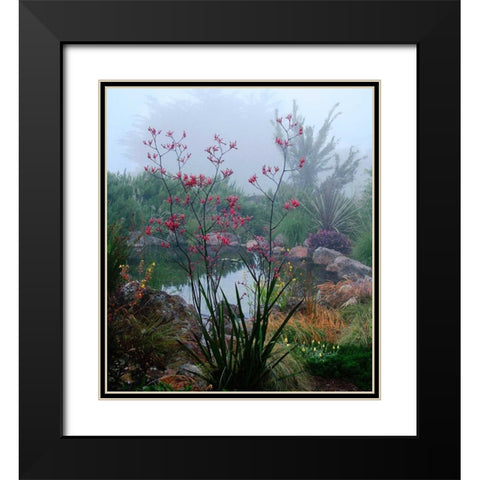 Scarlet Black Modern Wood Framed Art Print with Double Matting by Aron, Lucy