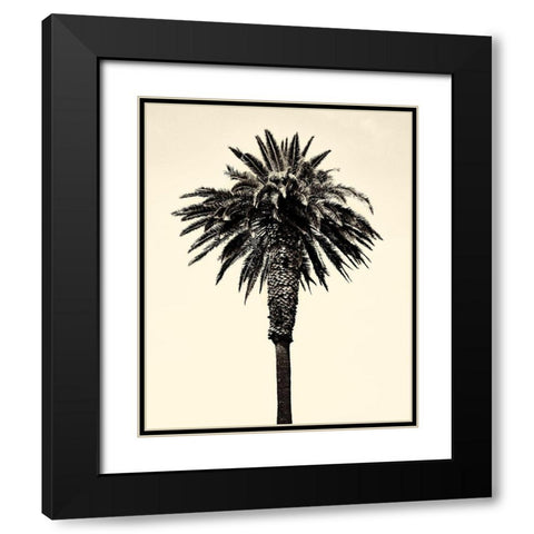 Palm Tree 1996 (Tan) Black Modern Wood Framed Art Print with Double Matting by Asla, Erik