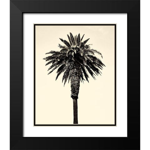 Palm Tree 1996 (Tan) Black Modern Wood Framed Art Print with Double Matting by Asla, Erik