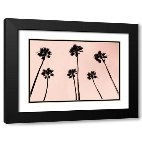 Palm Trees 1997 Copper Black Modern Wood Framed Art Print with Double Matting by Asla, Erik