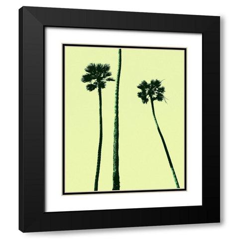Palm Trees 2000 (Cyan) Black Modern Wood Framed Art Print with Double Matting by Asla, Erik