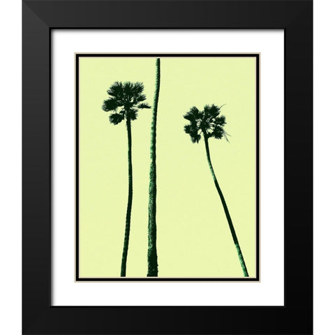 Palm Trees 2000 (Cyan) Black Modern Wood Framed Art Print with Double Matting by Asla, Erik