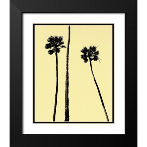 Palm Trees 2000 (Yellow) Black Modern Wood Framed Art Print with Double Matting by Asla, Erik