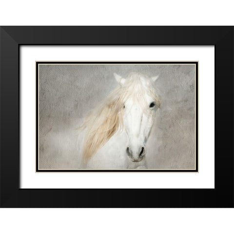 Stallion Face Black Modern Wood Framed Art Print with Double Matting by Asimow, Merrie
