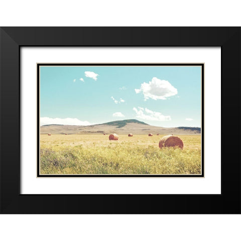 A Day in the Fields Black Modern Wood Framed Art Print with Double Matting by Annie Bailey Art