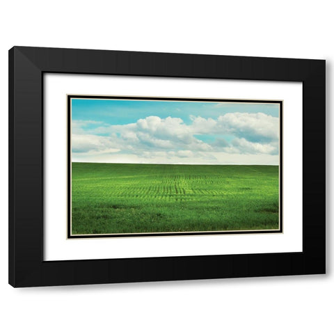 Signs of Life Black Modern Wood Framed Art Print with Double Matting by Annie Bailey Art