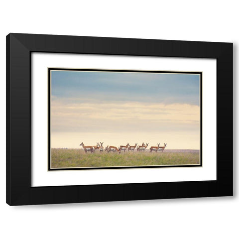 Strength in Numbers Black Modern Wood Framed Art Print with Double Matting by Annie Bailey Art