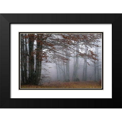 Autumn Paintings Black Modern Wood Framed Art Print with Double Matting by Artemiadi, Dora
