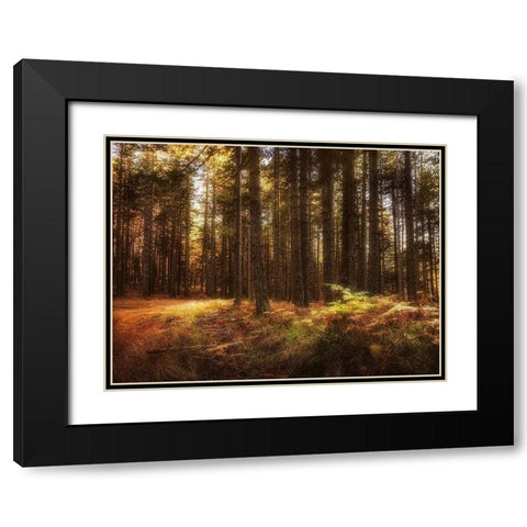 Painting of a Forest Black Modern Wood Framed Art Print with Double Matting by Artemiadi, Dora