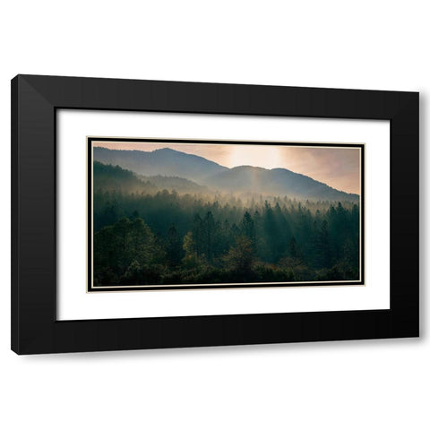Awakenings Black Modern Wood Framed Art Print with Double Matting by Artemiadi, Dora