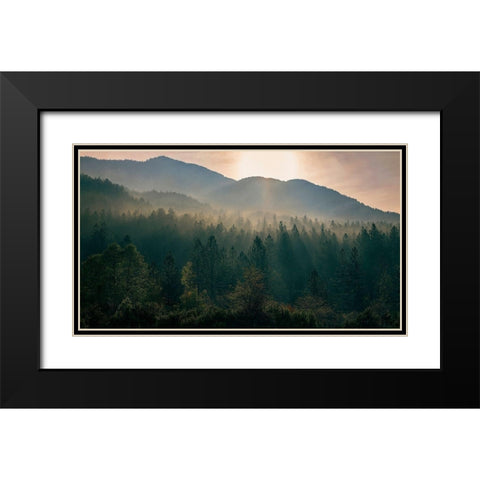 Awakenings Black Modern Wood Framed Art Print with Double Matting by Artemiadi, Dora