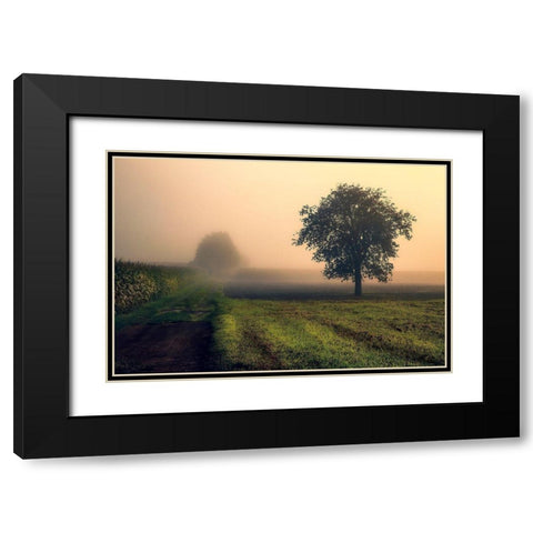 Morning Mist Black Modern Wood Framed Art Print with Double Matting by Artemiadi, Dora