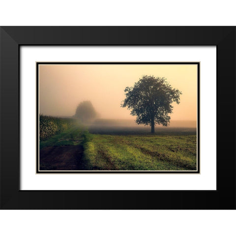 Morning Mist Black Modern Wood Framed Art Print with Double Matting by Artemiadi, Dora