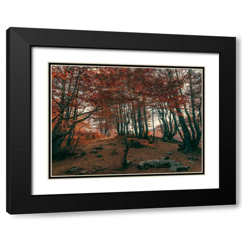 The Orange Season Black Modern Wood Framed Art Print with Double Matting by Artemiadi, Dora