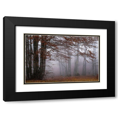 Autumn Paintings Black Modern Wood Framed Art Print with Double Matting by Artemiadi, Dora