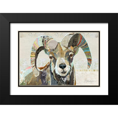 Wild Bighorn Sheep Black Modern Wood Framed Art Print with Double Matting by Anderson, Traci
