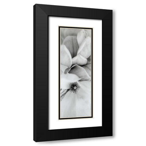 Magnolia - 2 Black Modern Wood Framed Art Print with Double Matting by Blaustein, Alan