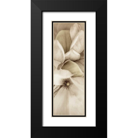 Florison - 70 Black Modern Wood Framed Art Print with Double Matting by Blaustein, Alan
