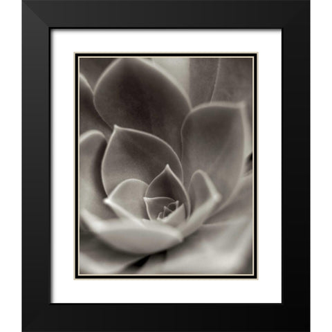 Florison - 25 Black Modern Wood Framed Art Print with Double Matting by Blaustein, Alan