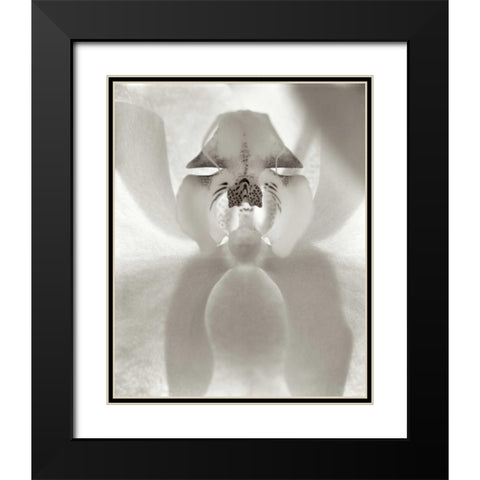 Florison - 26 Black Modern Wood Framed Art Print with Double Matting by Blaustein, Alan