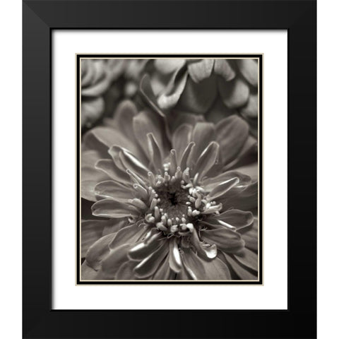 Florison - 17 Black Modern Wood Framed Art Print with Double Matting by Blaustein, Alan