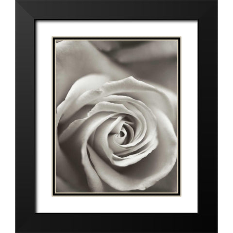 Florison - 12 Black Modern Wood Framed Art Print with Double Matting by Blaustein, Alan