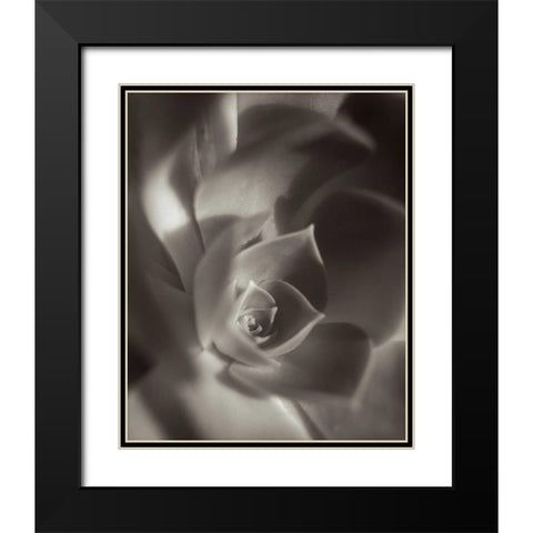 Florison - 11 Black Modern Wood Framed Art Print with Double Matting by Blaustein, Alan