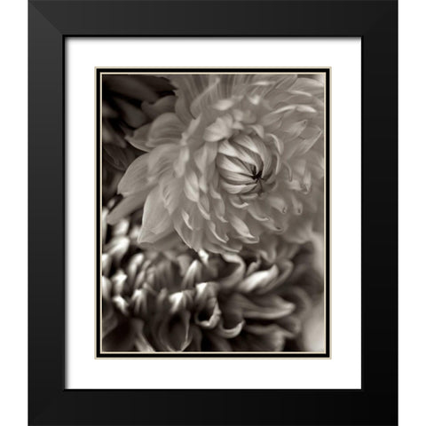 Florison - 10 Black Modern Wood Framed Art Print with Double Matting by Blaustein, Alan