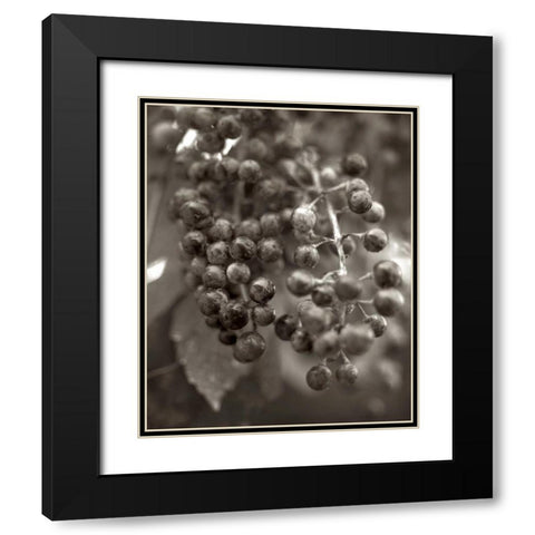 Florison - 9 Black Modern Wood Framed Art Print with Double Matting by Blaustein, Alan