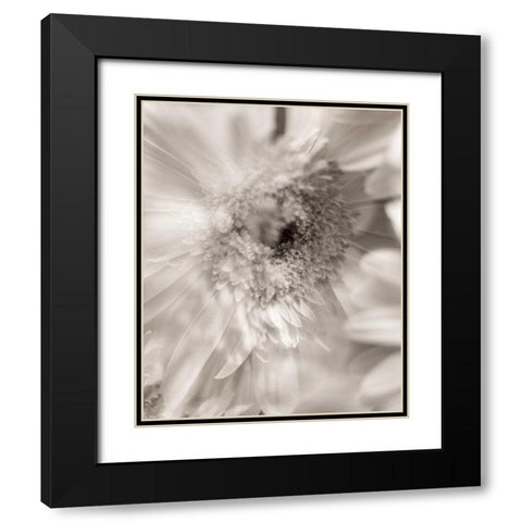 Florison - 5 Black Modern Wood Framed Art Print with Double Matting by Blaustein, Alan