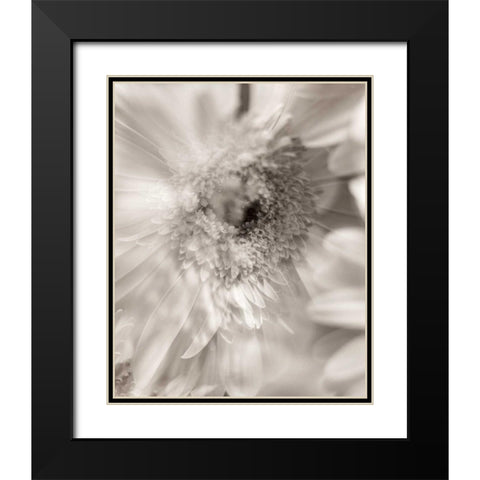 Florison - 5 Black Modern Wood Framed Art Print with Double Matting by Blaustein, Alan