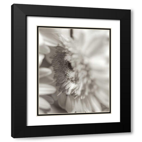 Florison - 4 Black Modern Wood Framed Art Print with Double Matting by Blaustein, Alan