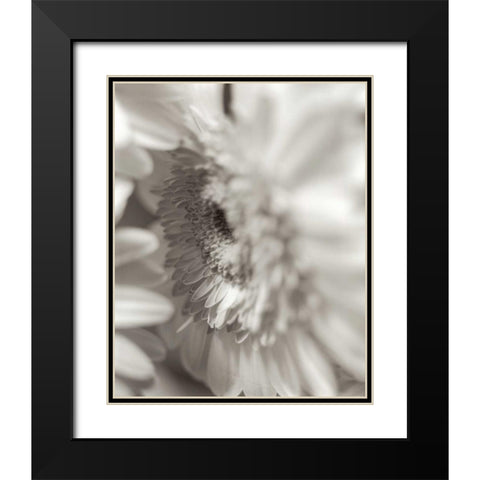 Florison - 4 Black Modern Wood Framed Art Print with Double Matting by Blaustein, Alan
