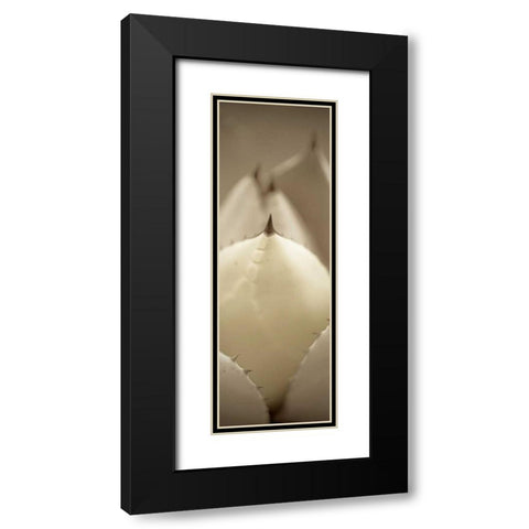 Florison - 67 Black Modern Wood Framed Art Print with Double Matting by Blaustein, Alan