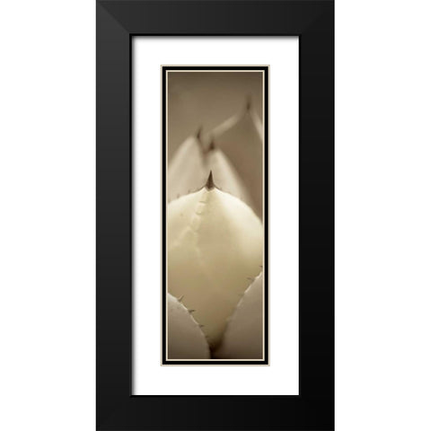 Florison - 67 Black Modern Wood Framed Art Print with Double Matting by Blaustein, Alan