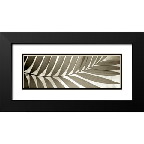 Florison - 98 Black Modern Wood Framed Art Print with Double Matting by Blaustein, Alan