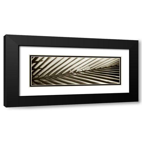 Florison - 100 Black Modern Wood Framed Art Print with Double Matting by Blaustein, Alan