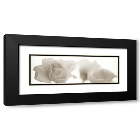 Florison - 103 Black Modern Wood Framed Art Print with Double Matting by Blaustein, Alan