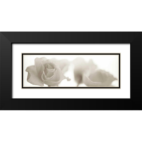Florison - 103 Black Modern Wood Framed Art Print with Double Matting by Blaustein, Alan