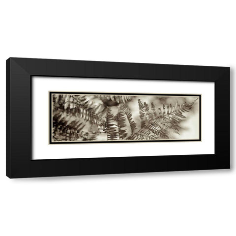 Florison - 101 Black Modern Wood Framed Art Print with Double Matting by Blaustein, Alan