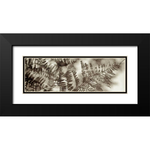 Florison - 101 Black Modern Wood Framed Art Print with Double Matting by Blaustein, Alan