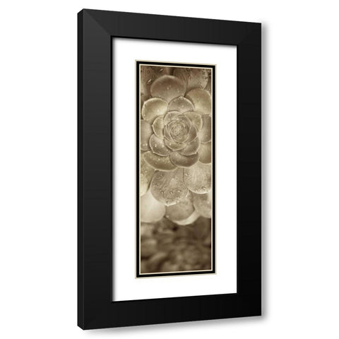 Florison - 91 Black Modern Wood Framed Art Print with Double Matting by Blaustein, Alan