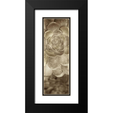 Florison - 91 Black Modern Wood Framed Art Print with Double Matting by Blaustein, Alan