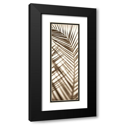 Florison - 72 Black Modern Wood Framed Art Print with Double Matting by Blaustein, Alan