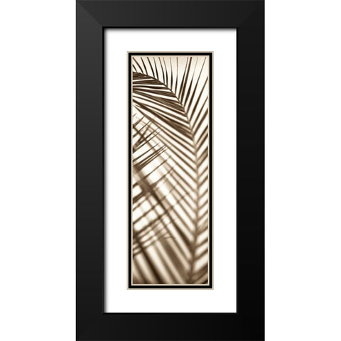 Florison - 72 Black Modern Wood Framed Art Print with Double Matting by Blaustein, Alan