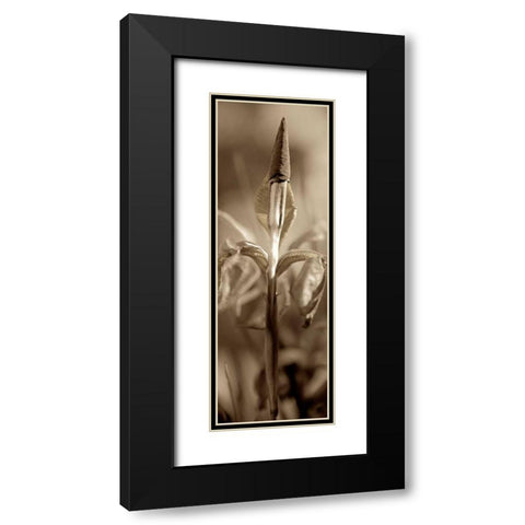Florison - 74 Black Modern Wood Framed Art Print with Double Matting by Blaustein, Alan