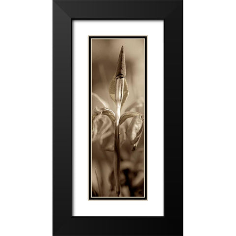 Florison - 74 Black Modern Wood Framed Art Print with Double Matting by Blaustein, Alan