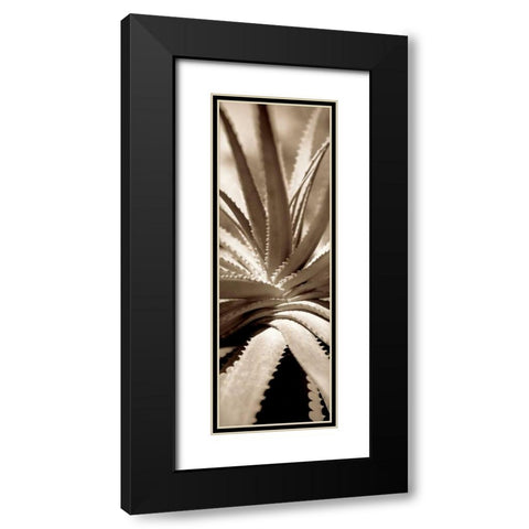 Florison - 77 Black Modern Wood Framed Art Print with Double Matting by Blaustein, Alan