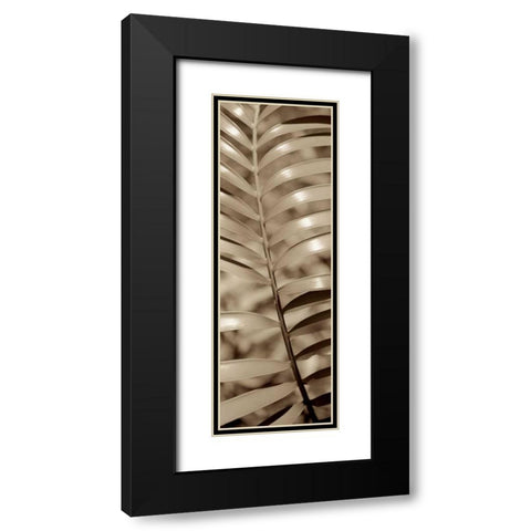 Florison - 92 Black Modern Wood Framed Art Print with Double Matting by Blaustein, Alan