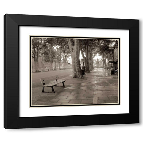 Banc de Jardin - 45 Black Modern Wood Framed Art Print with Double Matting by Blaustein, Alan